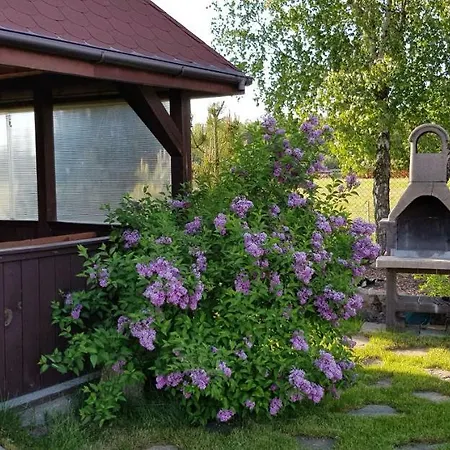 Dom W Skowronkach Villa Sasino Exterior photo