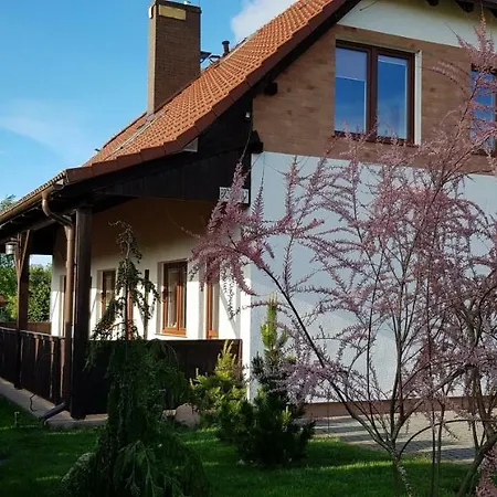 Dom W Skowronkach Villa Sasino Exterior photo